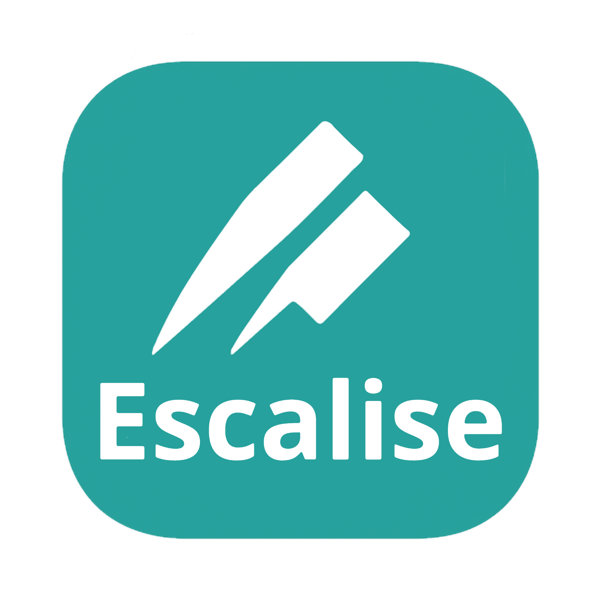 escalise.com favicon